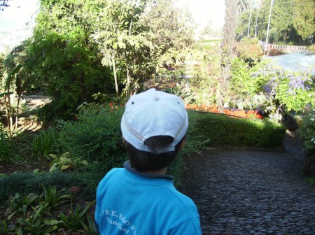 Visita ao Jardim Botânico