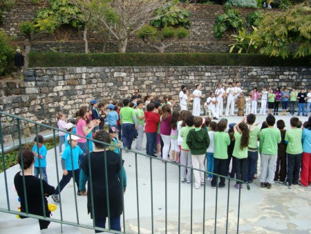 Visita ao Jardim Botânico