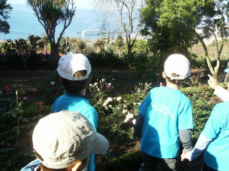 Visita ao Jardim Botânico