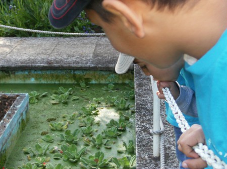 Visita ao Jardim Botânico 