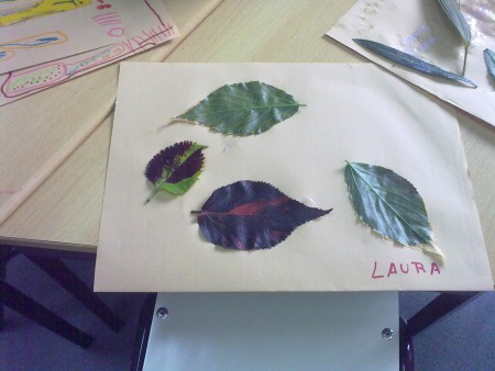 Produção final da seleção das folhas vegetais