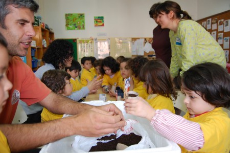 Plantação dos Girassóis